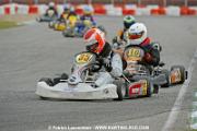 _DSC4378 copie